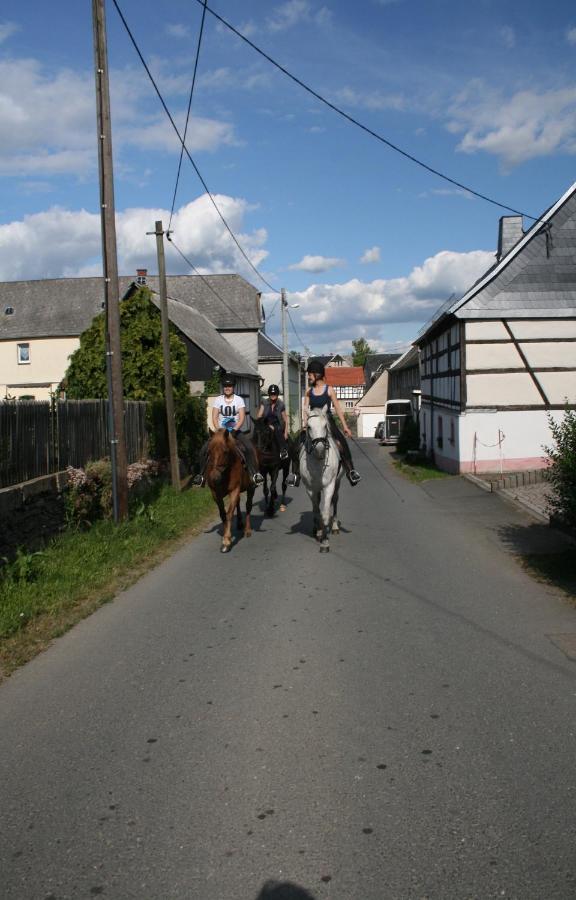 Pferd - Spass - Entspannung Staitz Екстериор снимка
